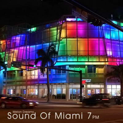 Sound Of Miami 7pm (2010)